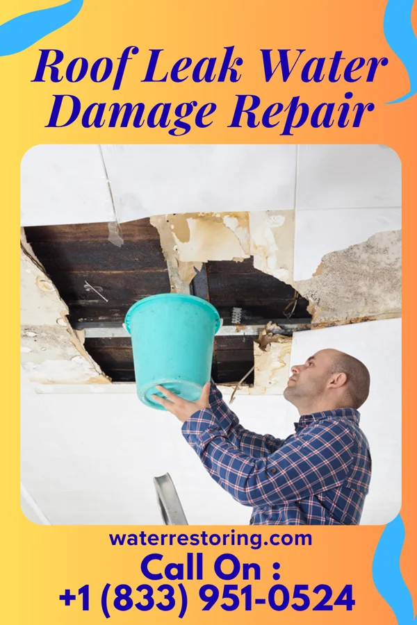 Roof Leak Water Damage Repair in Redland, TX